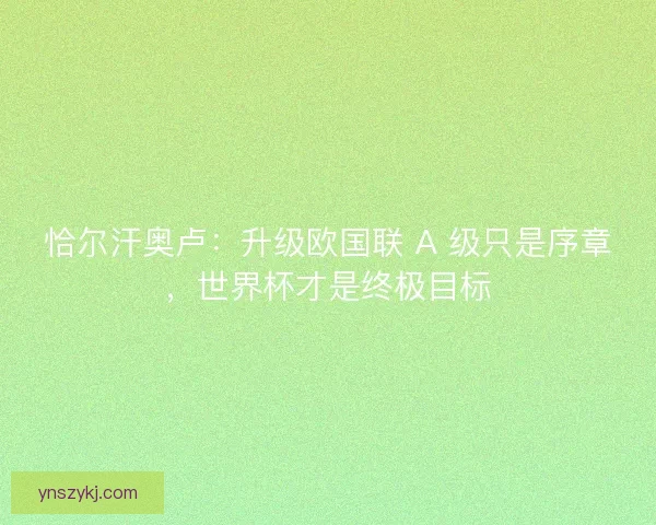恰尔汗奥卢：升级欧国联 A 级只是序章，世界杯才是终极目标