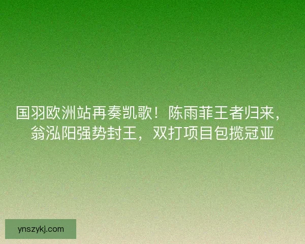 国羽欧洲站再奏凯歌！陈雨菲王者归来，翁泓阳强势封王，双打项目包揽冠亚
