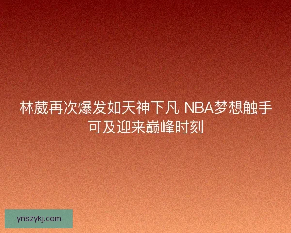 林葳再次爆发如天神下凡 NBA梦想触手可及迎来巅峰时刻