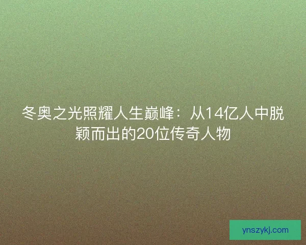 冬奥之光照耀人生巅峰：从14亿人中脱颖而出的20位传奇人物