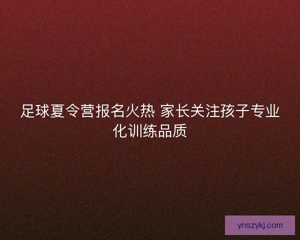 足球夏令营报名火热 家长关注孩子专业化训练品质